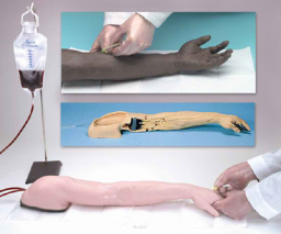 Zaawansowany model ręki do nauki wkłuć i iniekcji dożylnych