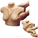 Model tułowia z wymiennymi piersiami do nauki badania piersi